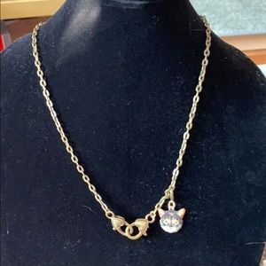Fabulous Mask Chain